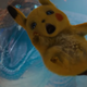 Imagen para el artículo titulado Lo creas o no, Detective Pikachu es una buena película